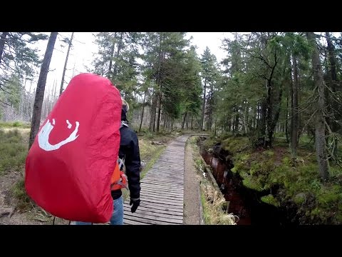 Wandern im Harz: Harzer Hexenstieg | Von Osterode nach Thale