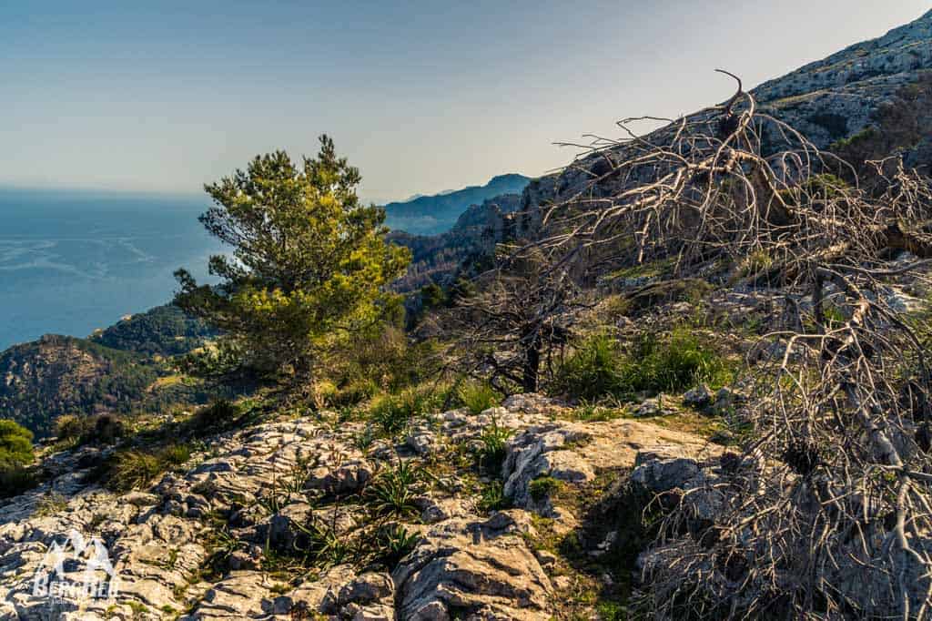 Wandern auf Mallorca Trockenmauerweg GR221