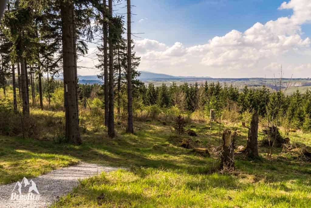 Harzer Hexenstieg Wandern im Harz Outdoor Blog BergReif