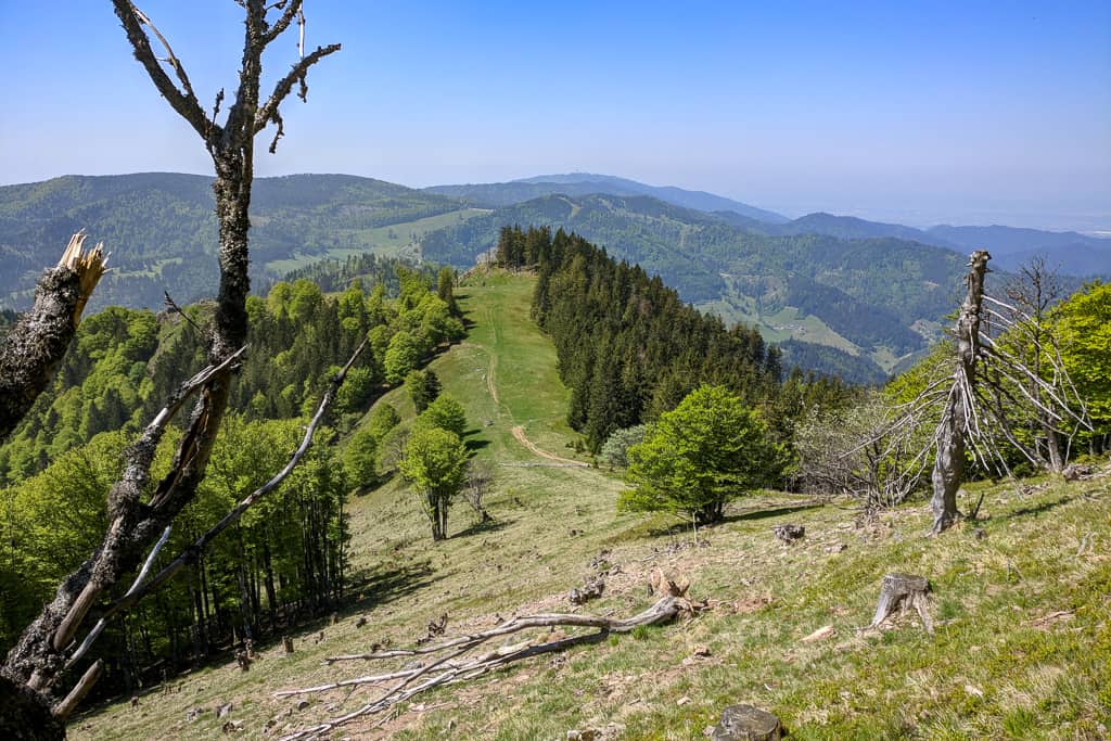 Freiburg Engelberg wandern